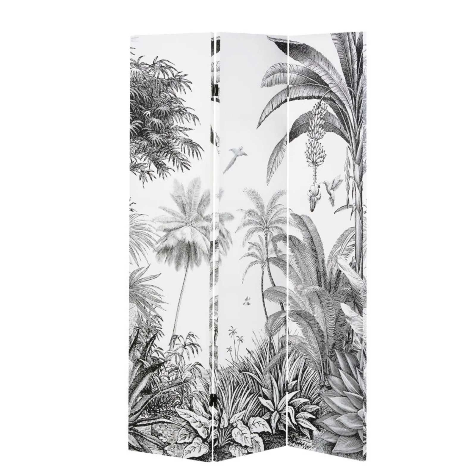 Screen Palm Beach